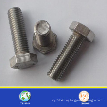 Stainless Steel 18-8 Hex Bolt